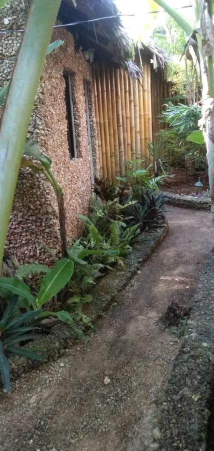 Jungle Of Peace Resort Siquijor Eksteriør bilde