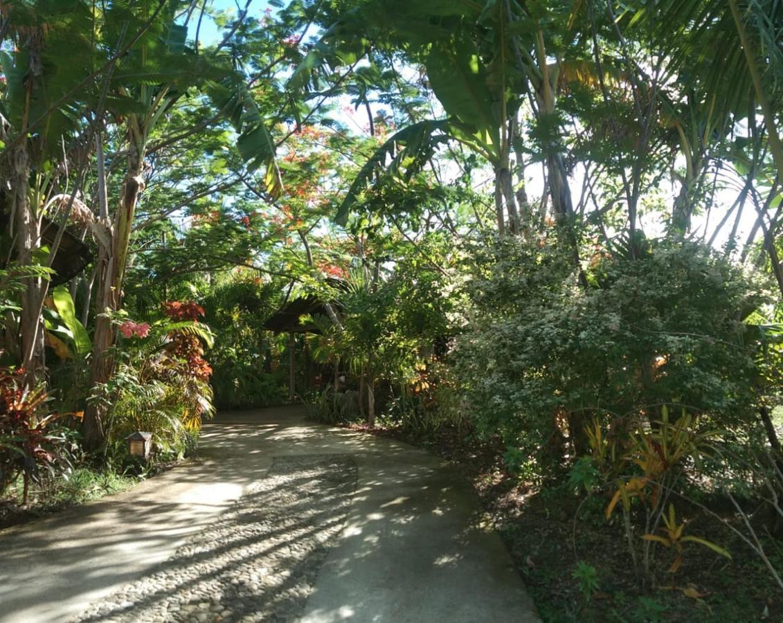 Jungle Of Peace Resort Siquijor Eksteriør bilde