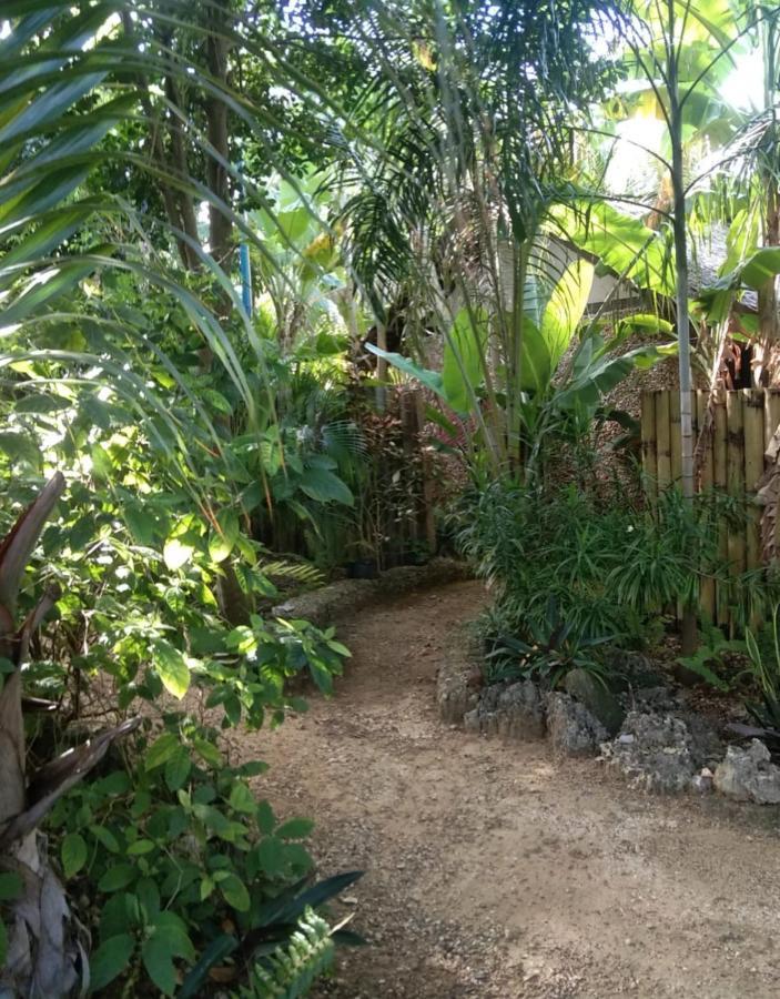 Jungle Of Peace Resort Siquijor Eksteriør bilde