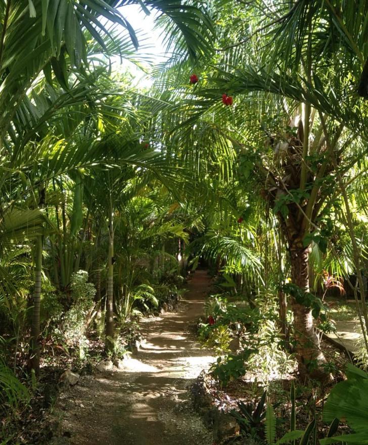 Jungle Of Peace Resort Siquijor Eksteriør bilde